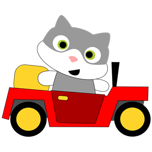 A cat driving a car
