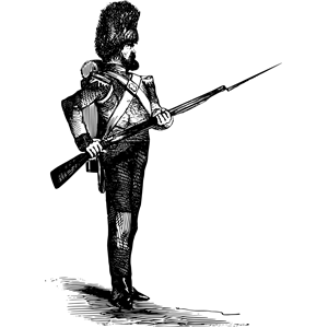 Soldier with a bearskin and a gun.