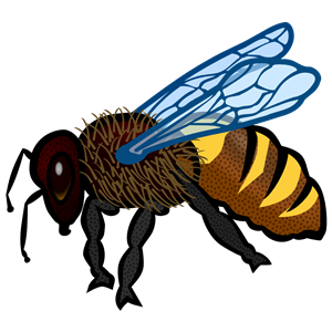 bee - coloured
